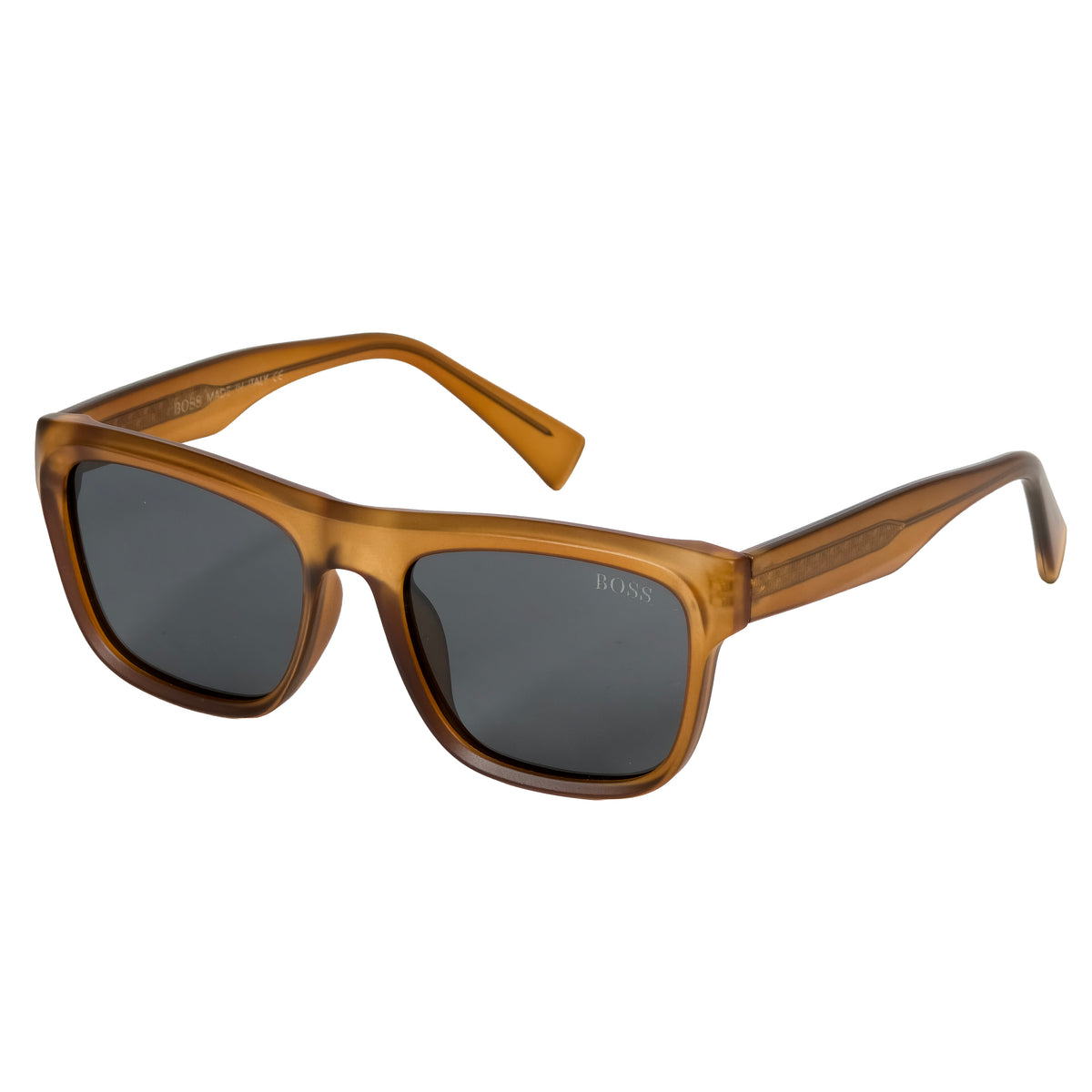 Hugo Boss Polarized Sunglass | Bos 39 A