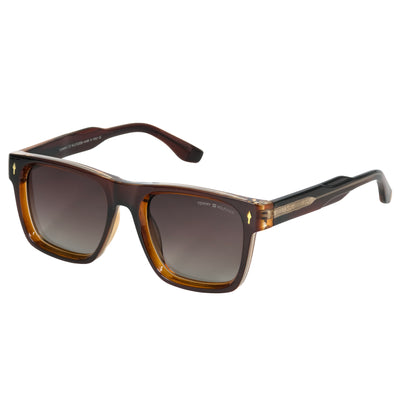 TOMMY HILFIGER Polarized Sunglass | TM 235 A