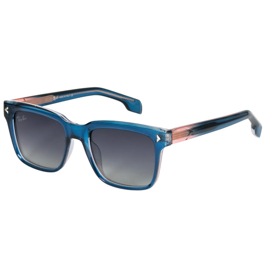 Ray_Ban Polarized Sunglass | RB 221 A