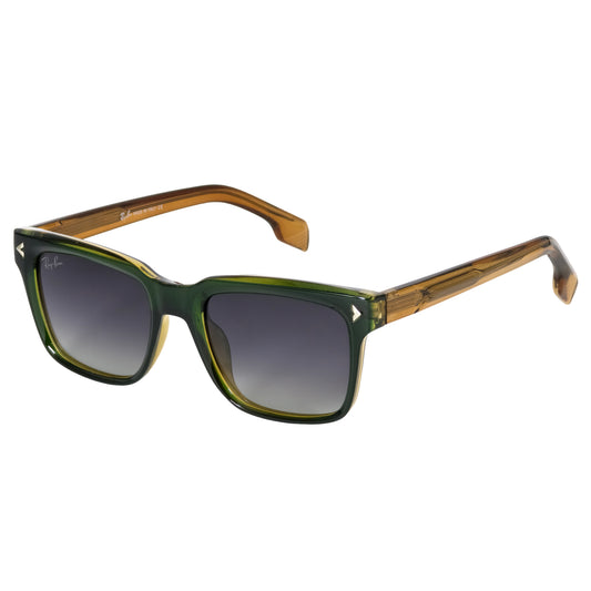 Ray_Ban Polarized Sunglass | RB 221 B