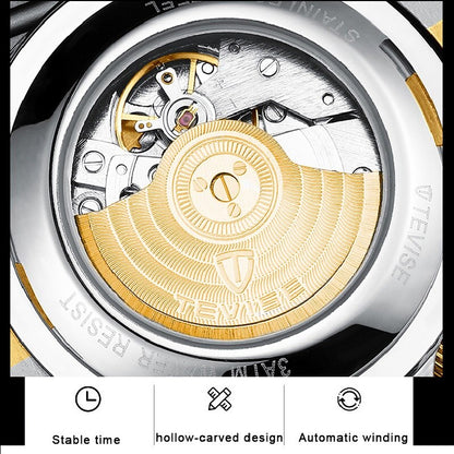 Original Tevise Mechanical Automatic Premium Quality Watch - Tevise 16
